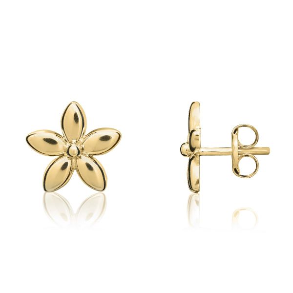 9ct Yellow Gold Polished Flower Stud Earrings-1