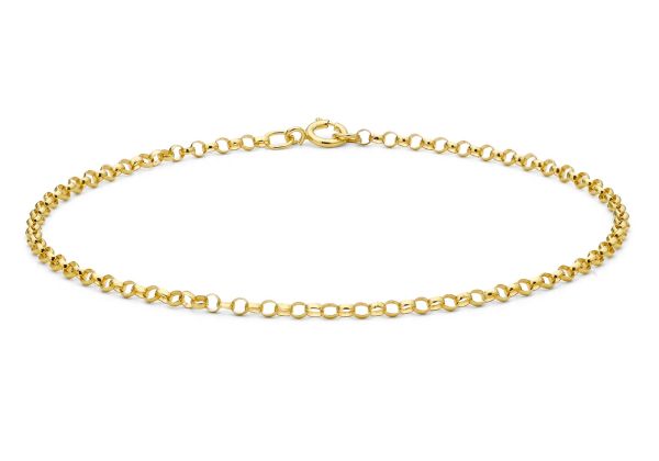 9ct Yellow Gold Belcher Charm Bracelet -1508009