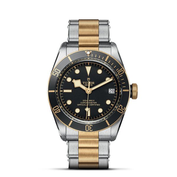 TUDOR Black Bay S&G - M79733N-0008 41mm Automatic Watch-1901424